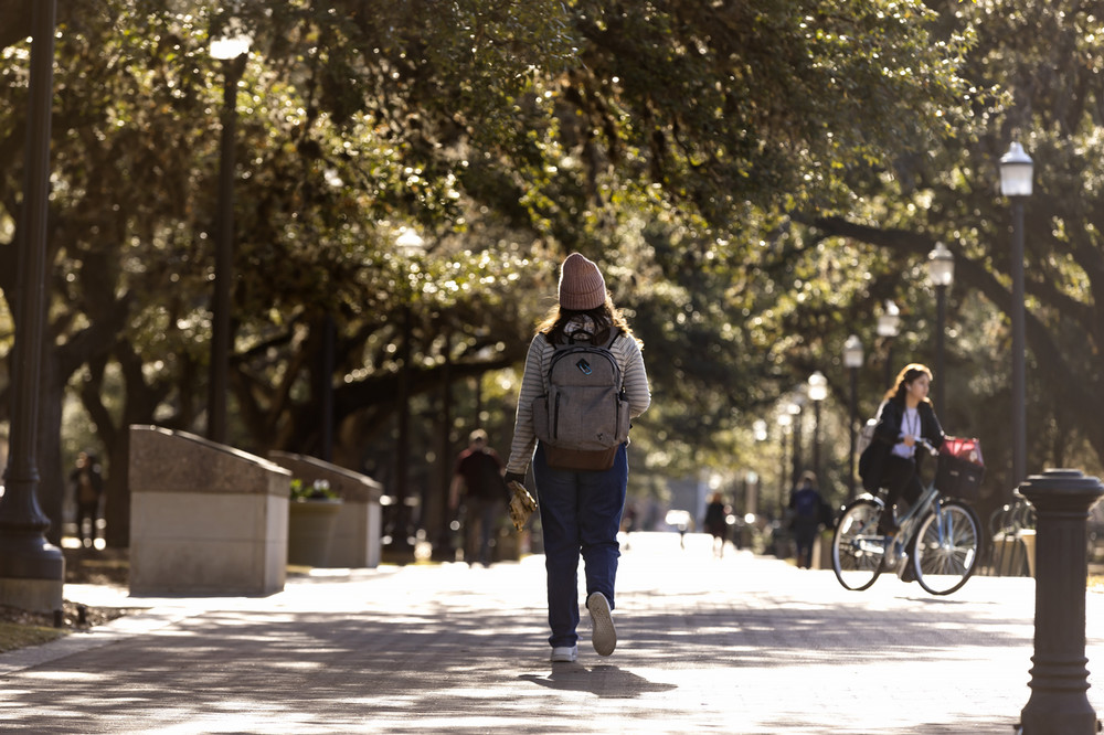 Texas A&amp;M Student walking on campus at Military Walk